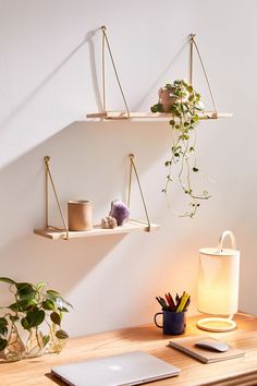 two wooden shelves with plants and other items on them, hanging from the wall above a desk