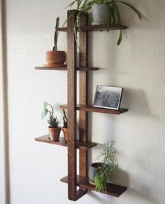 three wooden shelves with plants and pictures on them