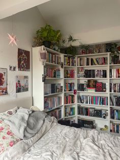 a bedroom with bookshelves full of books and plants on the wall above the bed