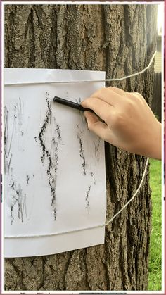 a person is drawing on a piece of paper attached to a tree with a marker