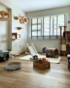 a room filled with lots of different types of furniture and cat toys on the floor