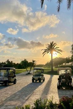 several golf carts parked in front of a palm tree