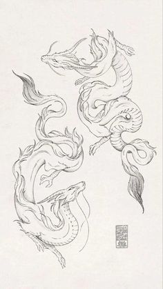 an ink drawing of two dragon on paper