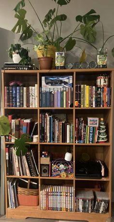 Light brown bookshelf. The bookshelf is one of those grided ones where each shelf is a square. 4 squares tall, 3 squares wide, 12 squares in total. fairly neatly organized. Lots of books and video games on their own compartments of the shelf. One shelf has a cute basket. A couple shelves have some plants, there is also larger plants ontop of the book shelf, aswell as some decorative coins? It looks very pretty overall. Mildly cottagecore. Open Shelf Bookshelf, Tiny Apartment Bookshelf, Bookshelf On Dresser, Wooden Bookshelf Ideas, Bookshelf In Corner, Open Bookcase Styling, Bookshelf Maximalist, Small Apartment Library, Trinket Bookshelf