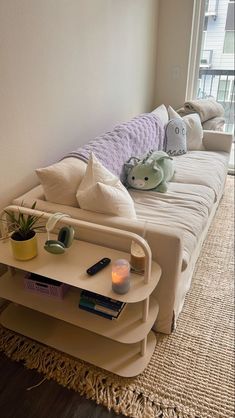 a living room with a couch, coffee table and bookshelf in front of a window