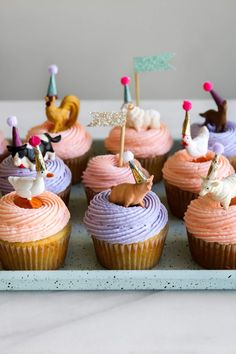 cupcakes decorated with miniature horses and flags on a blue tray, ready to be eaten