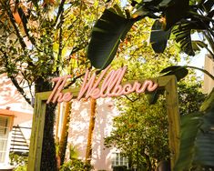 there is a sign that says the nelson on it in front of some trees and bushes