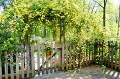 a wooden fence with yellow flowers growing on it's sides and trees in the background