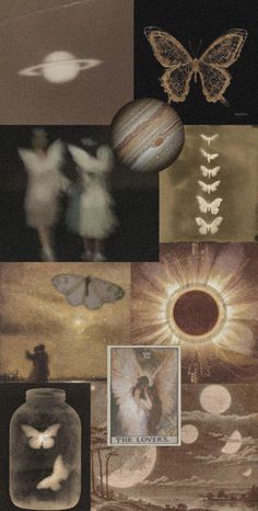 the collage shows images of different objects and things that are in them, including an image of a butterfly