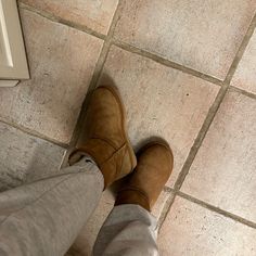 Perfect Condition. Ugg Mini Boots Same As Regular Uggs Just From Australia. Chestnut Color Shoes Uggs, Ugg Mini Boots, Mini Boots, Ugg Mini, Chestnut Color, Womens Uggs, Ugg Shoes, Chestnut, Australia