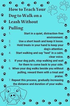 a blue poster with instructions for how to teach your dog to walk on a leash without pulling