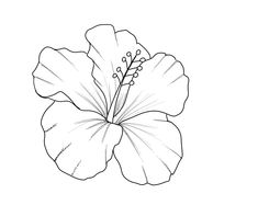 a drawing of a flower on a white background