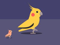 a yellow bird standing next to a pink bird on top of a purple floor in front of a dark blue background