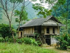 an old wooden house in the middle of some trees and grass with stairs leading up to it