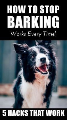 a black and white dog with the words how to stop barking works every time 5 hacks that work