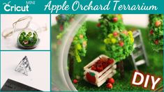 an apple orchard terrarium diy with miniature trees and other items to make it