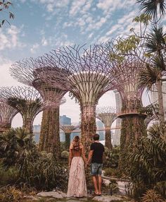 a man and woman standing in front of trees at gardens by the bay, singapore