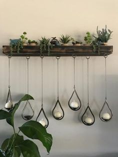 several hanging planters with succulents in them on a wall above a potted plant