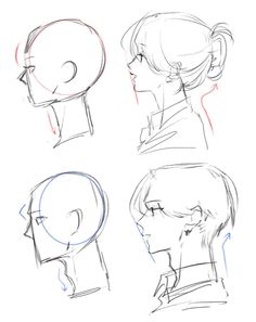 four different types of head shapes