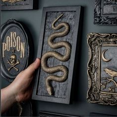 a hand is holding a snake in front of some framed pictures and other items on the wall