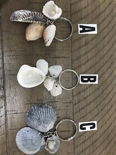 three seashells are sitting on top of each other with name tags attached to them