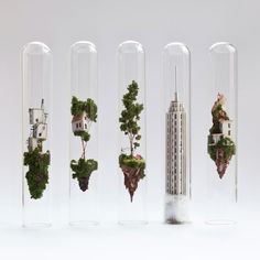 an instagram page with several small plants in glass tubes on top of each other