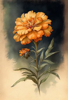 an orange flower with green leaves on a brown and beige background is featured in this watercolor painting