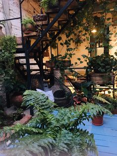 an outdoor area with plants and stairs