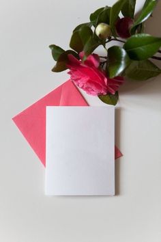 pink flowers are on top of an empty card