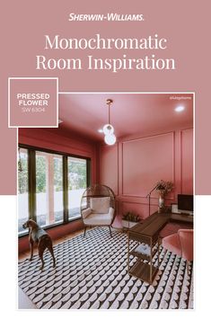 the front cover of a book with pink walls and flooring, including a dog standing in