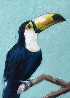 a painting of a toucan perched on a branch