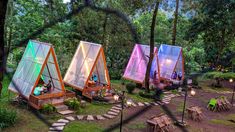 several tents in the woods with lights on them