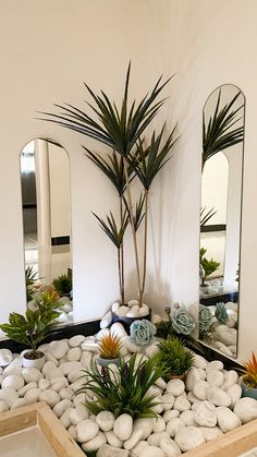 there are plants and rocks in the center of this room with mirrors on the wall