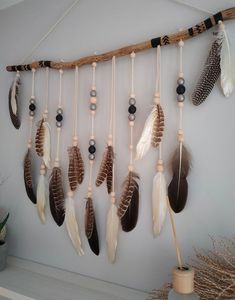 a group of feathers hanging on a wall