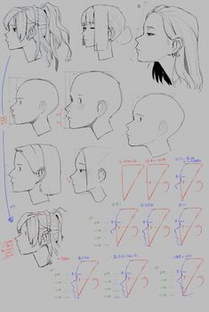 some drawings of different faces and hair styles for the character's head, from one side to the other