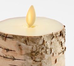 a candle that is sitting on top of a tree stump in front of a white background