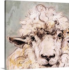 a sheep with curly hair is shown in this artisticly colored drawing by artist markiek