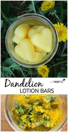 Dandelion Lotion, Dandelion Oil, Sore Hands, Herbal Recipes, Diy Remedies