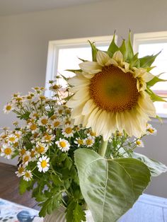 A single sunflower with delicate pale yellow petals sits in a vase with chamomile flowers that have a dainty row of white petals around a yellow center White Lite Sunflower, Botanical Arrangements, Debut Era, White Sunflower, Mini Sunflowers, Bouquet Inspiration, White Sunflowers, Chamomile Flowers, Garden Shop