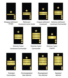 the different types of stars and stripes in gold on black paper, with text below them