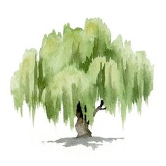 a watercolor painting of a tree with green leaves