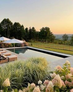 an outdoor swimming pool with lounge chairs and umbrellas next to it, surrounded by greenery