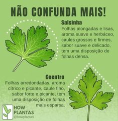 a green leaf is shown with the words'no confuda mais '