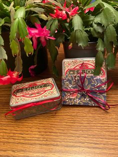 two tins sitting on top of a wooden table next to potted plants and flowers