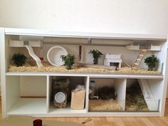 a shelf filled with lots of different types of plants and animals in it's shelves