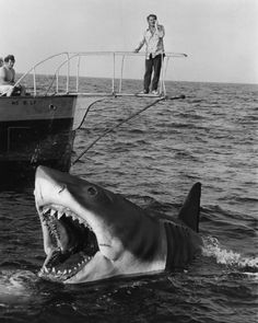 a shark is in the water with two people on a boat behind it and another man standing on top of a boat