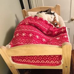 a cat laying on top of a bed under a blanket