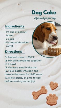 a poster with instructions on how to make a dog cake