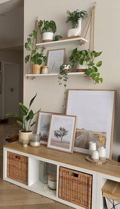 there is a shelf with pictures and plants on it in the living room, along with other items