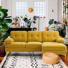 a living room with yellow couches and potted plants in the corner, along with a white rug